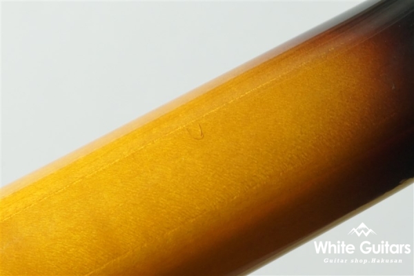 Aria Pro II CA-100-S SB